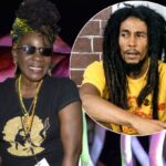 Bob Marley’s family to launch the first celebrity magic mushroom line