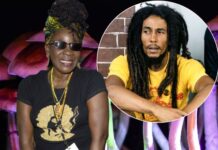 Bob Marley’s family to launch the first celebrity magic mushroom line