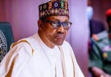 NIGERIA’S BLOOD BEEF