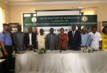 Lagos Coconut stakeholders task Research Institutes