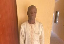 Businessman gets one year imprisonment in Gombe