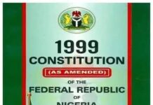 The 1999 Constitution as “Grundnorm”