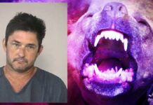 Dogs maul 71-year-old man to death