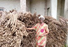 Onosemuode hails UPU UK for presenting improved cassava varieties to Urhobo Kingdoms