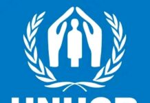 UNHCR commits to sustainable solutions to Nigeria’s forgotten displacement crisis